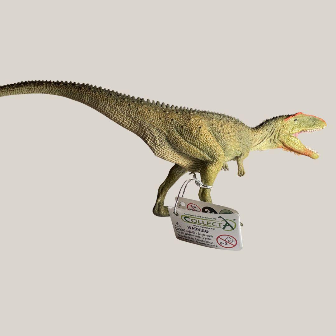 Mapusaurus Dinosaur Figur | CollectA
