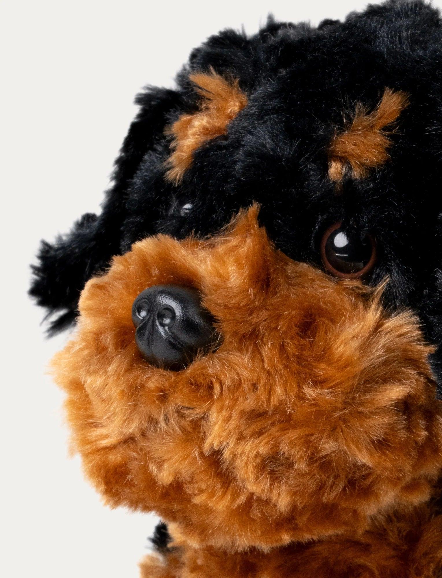 Hund Bamse Brun | Teddykompaniet - Bamsedyra AS