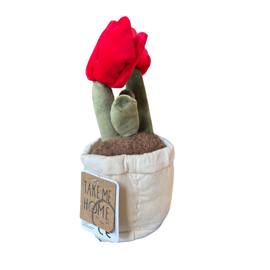 Plysjtulipan i potte 27 cm – 3 varianter | Take Me Home