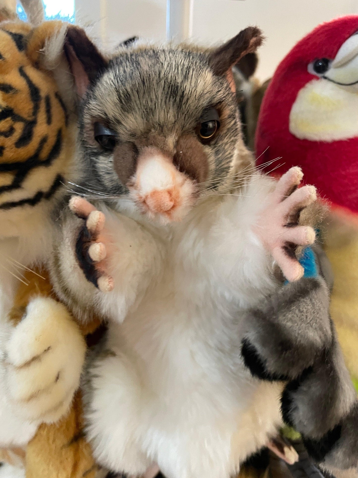 Brush Tailed Possum Hand Puppet | Hansa Creation - Bamsedyra AS