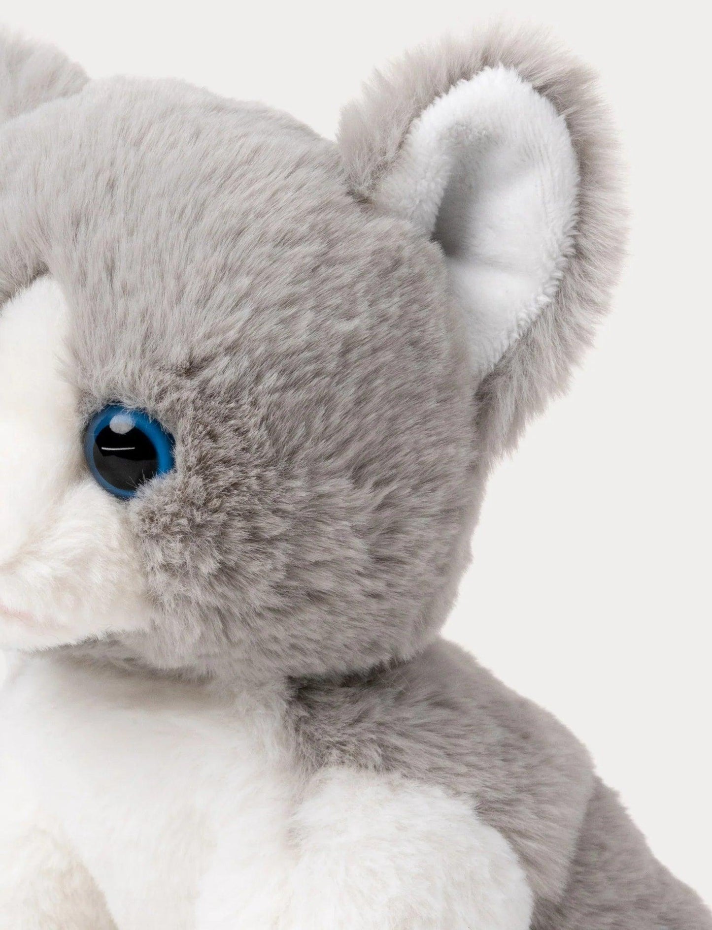 Kosedyr Katt Mojje | Teddykompaniet - Bamsedyra AS