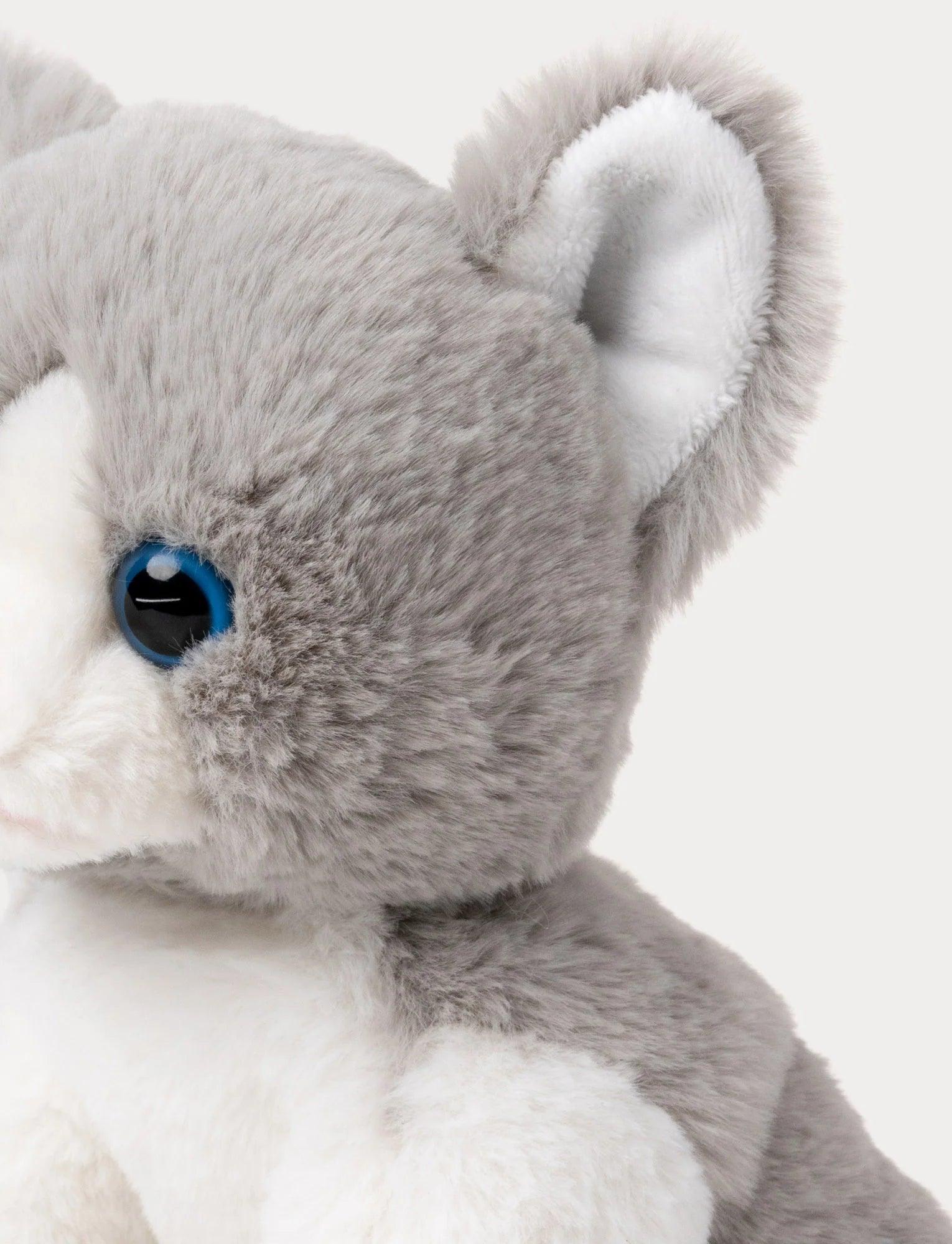Kosedyr Katt Mojje | Teddykompaniet - Bamsedyra AS