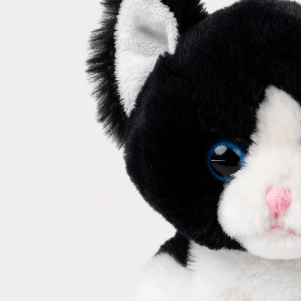 Kattkompisar Mojje | Teddykompaniet - Bamsedyra AS