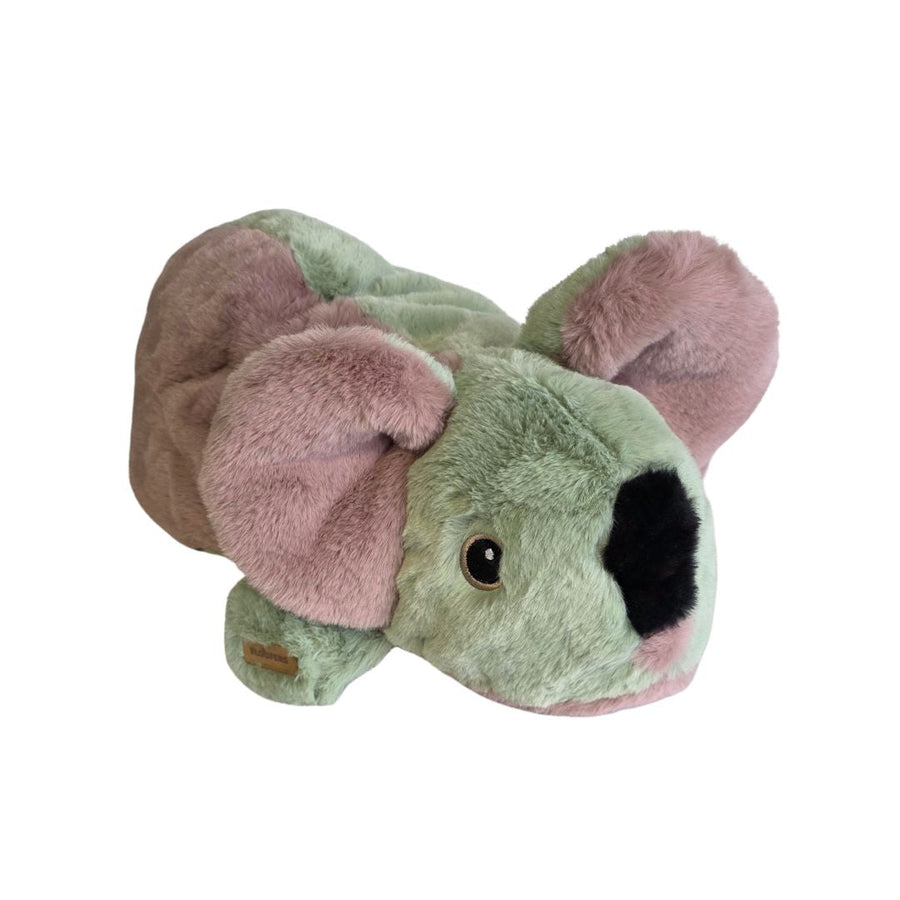 Victor koala vektbamse ovenfra