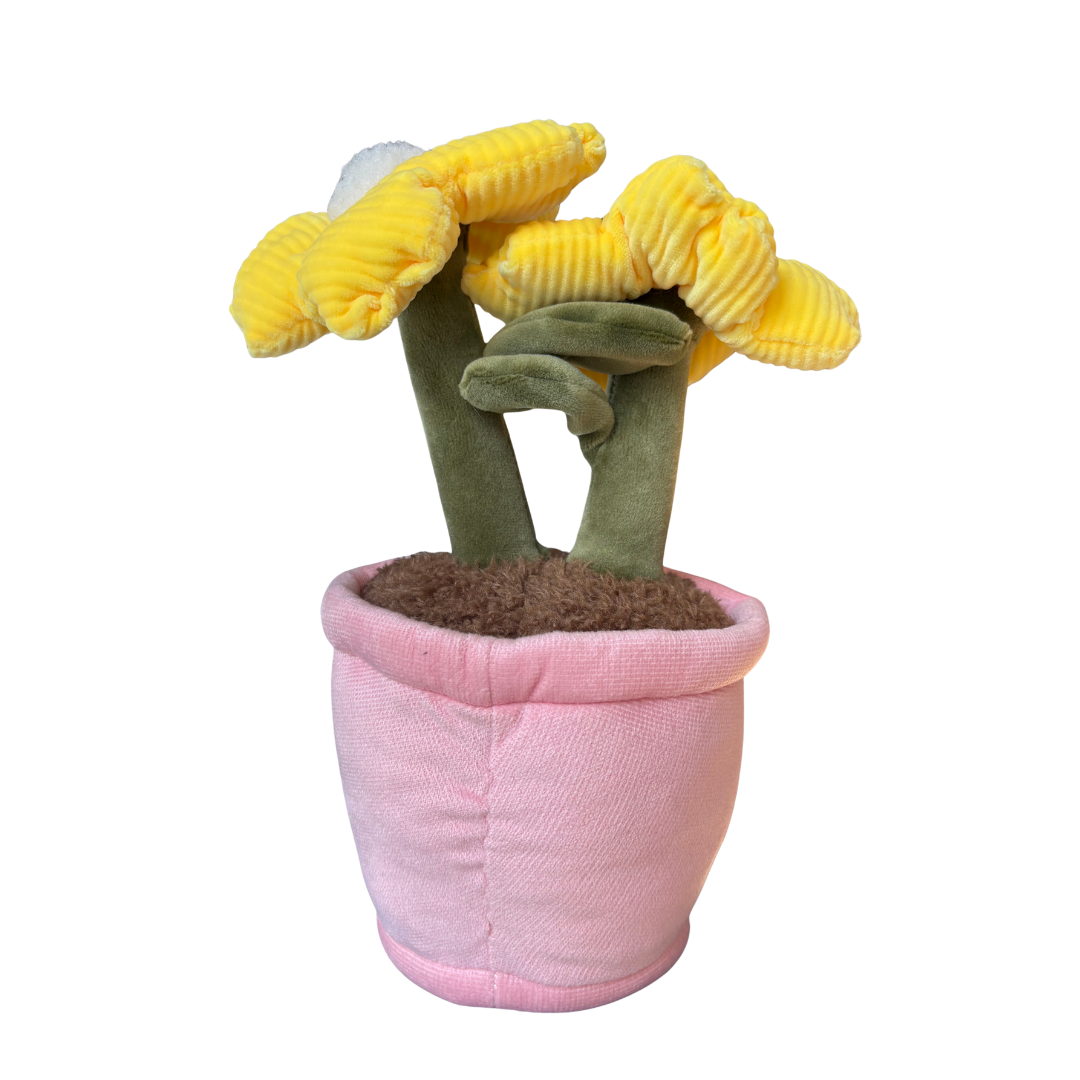 Plysjblomst i potte 18 cm – 3 varianter (rosa/gul/lilla) | Take Me Home