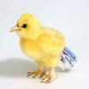 Hansa Creation | Chick | Gul | ca. 12 cm - Bamsedyra AS