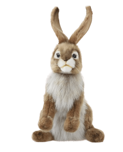 Jack Rabbit Kosedyr | Hansa Creation - Bamsedyra AS