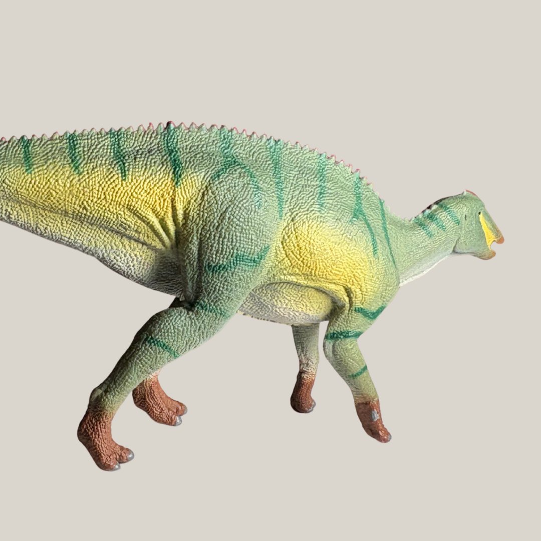 Dinosaur figure Collecta Kamuysaurus