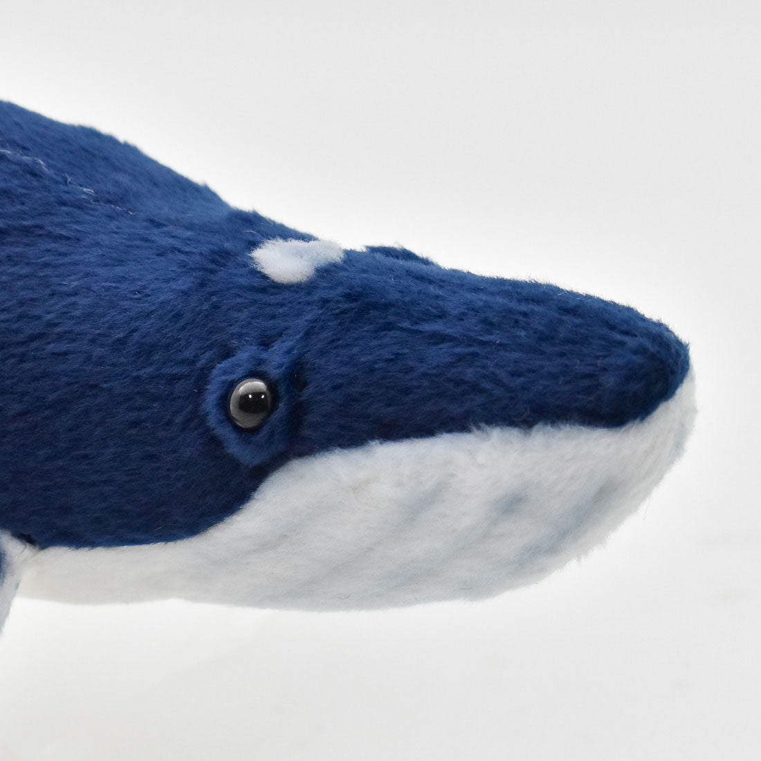 Humpback Whale 35 cm | Hansa Creation (Knølhval)