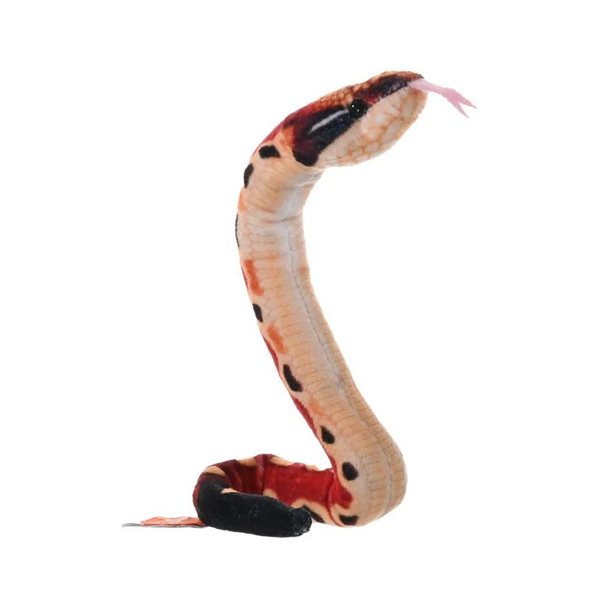Coilkins Slangebamse 30 cm | Wild Republic