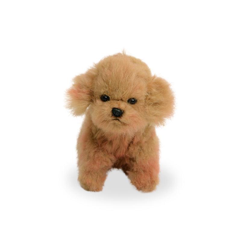 Tea Cup Poodle Hund Bamse | Hansa Creation - Bamsedyra AS