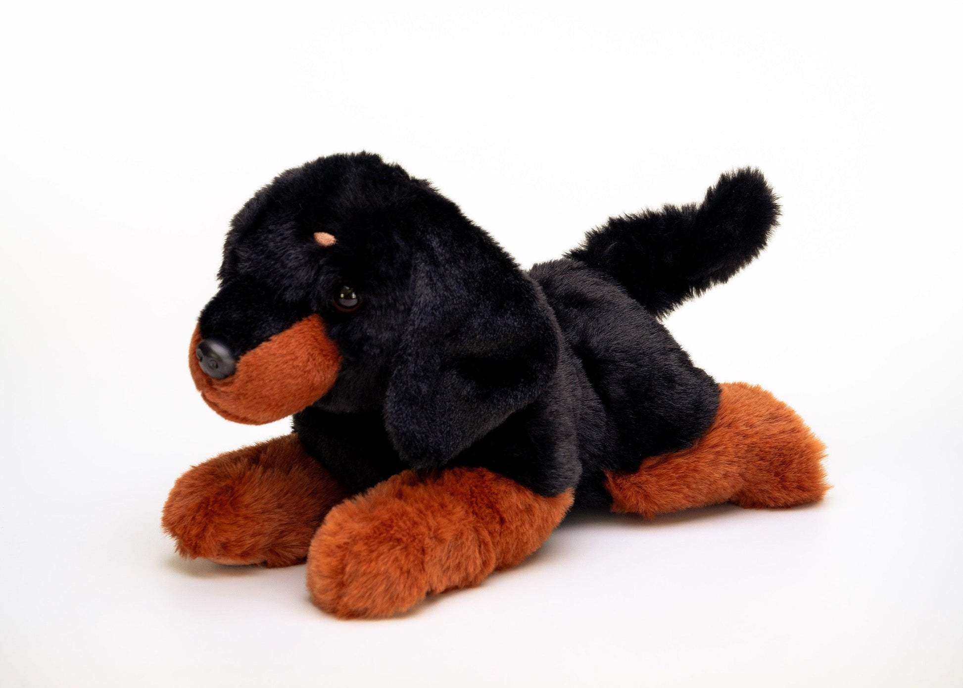 Hund Bamse Labben Dachs | Hilda - Bamsedyra AS
