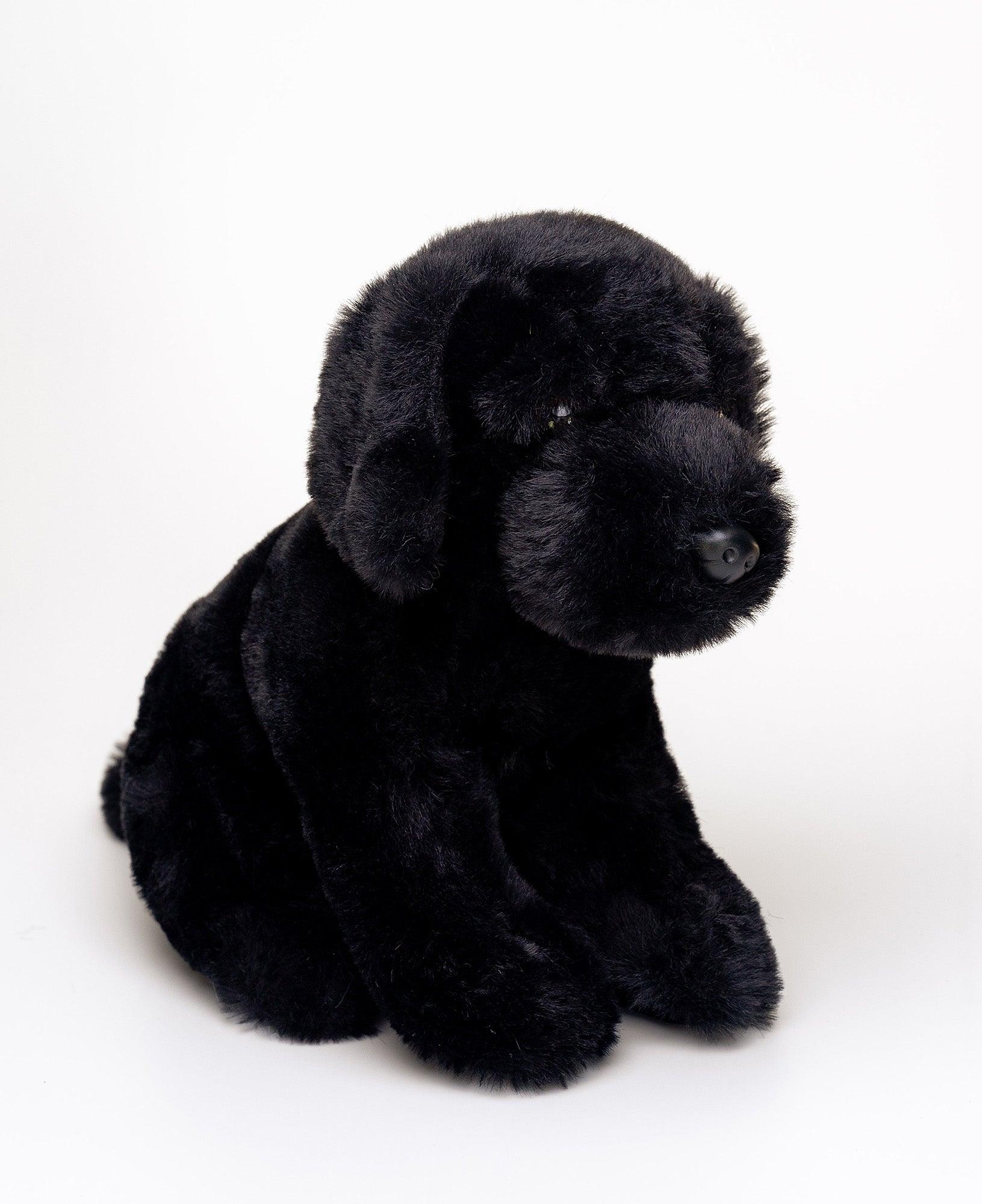 Hund Bamse Pepper Sort Labrador | Hilda - Bamsedyra AS
