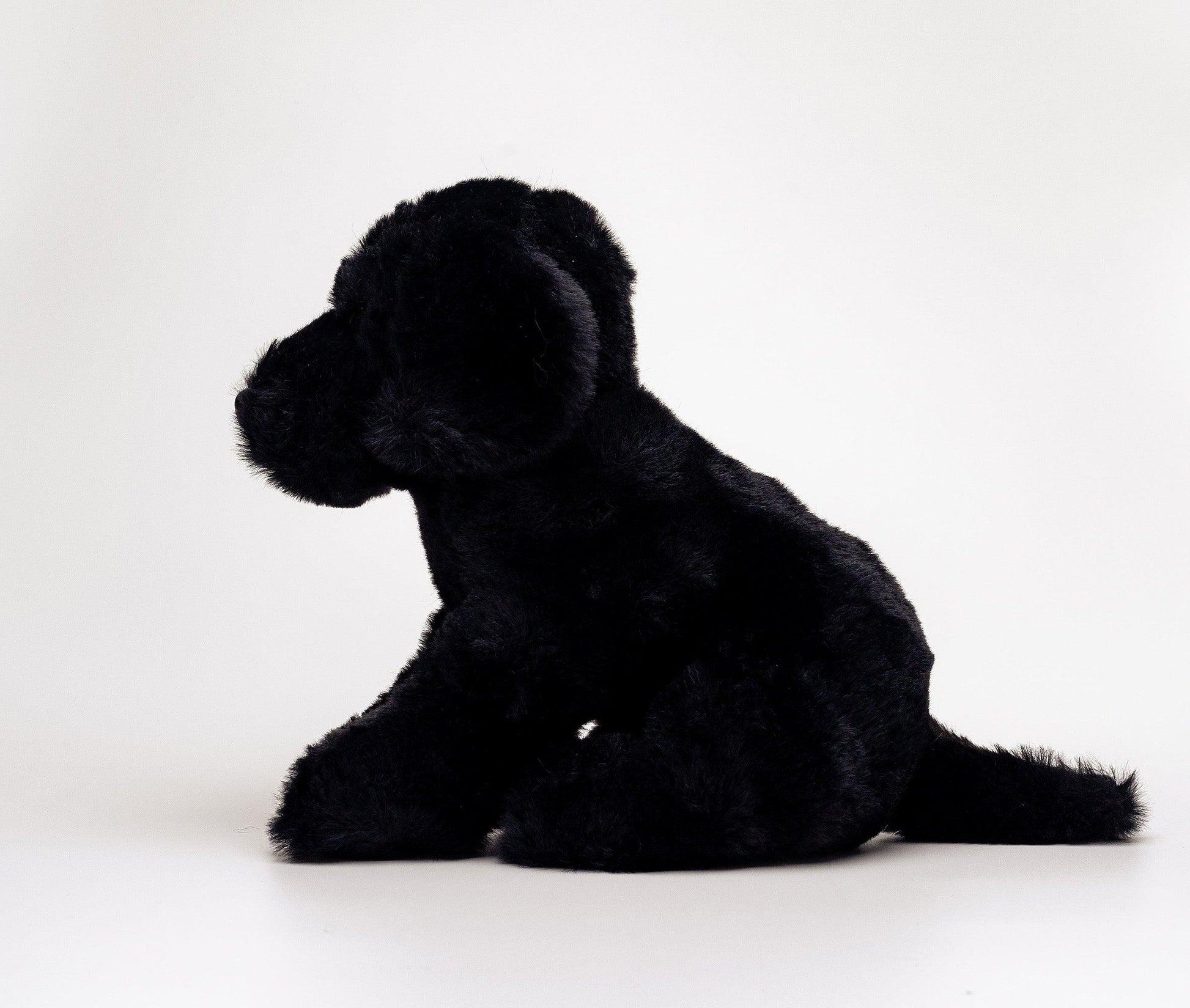 Hund Bamse Pepper Sort Labrador | Hilda - Bamsedyra AS