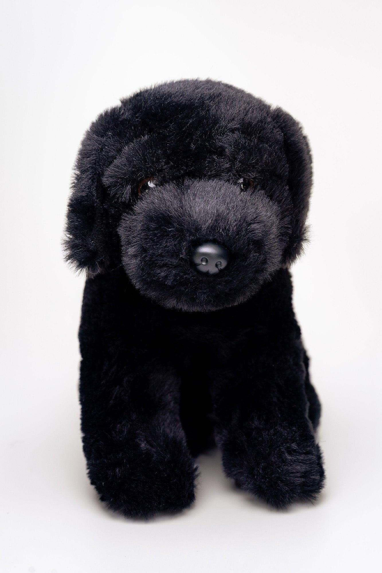 Hund Bamse Pepper Sort Labrador | Hilda - Bamsedyra AS