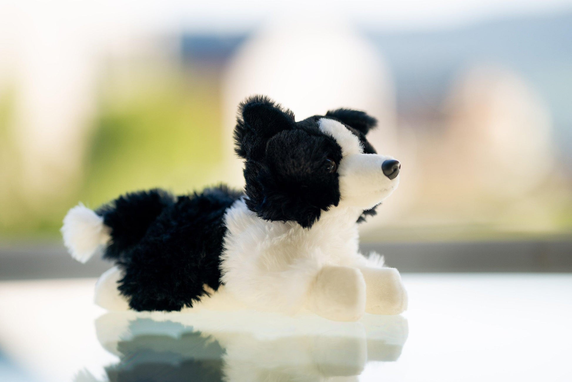 Hund Bamse Lasse Border Collie | Hilda - Bamsedyra AS