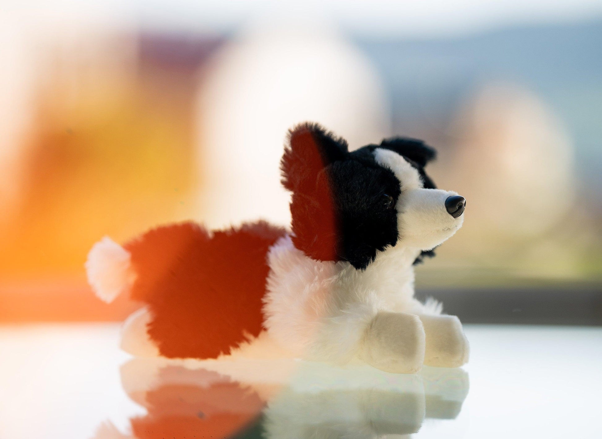 Hund Bamse Lasse Border Collie | Hilda - Bamsedyra AS