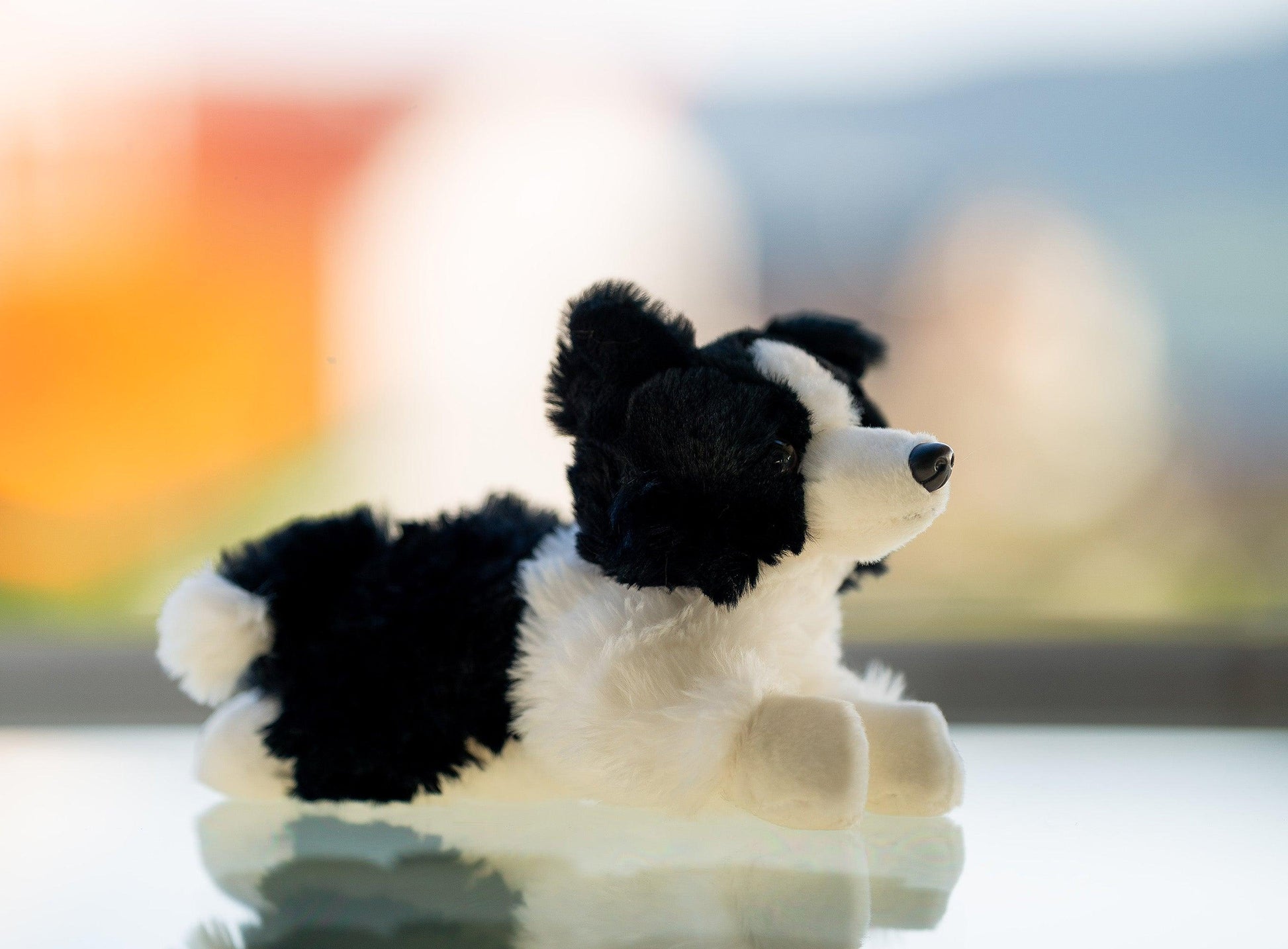 Hund Bamse Lasse Border Collie | Hilda - Bamsedyra AS