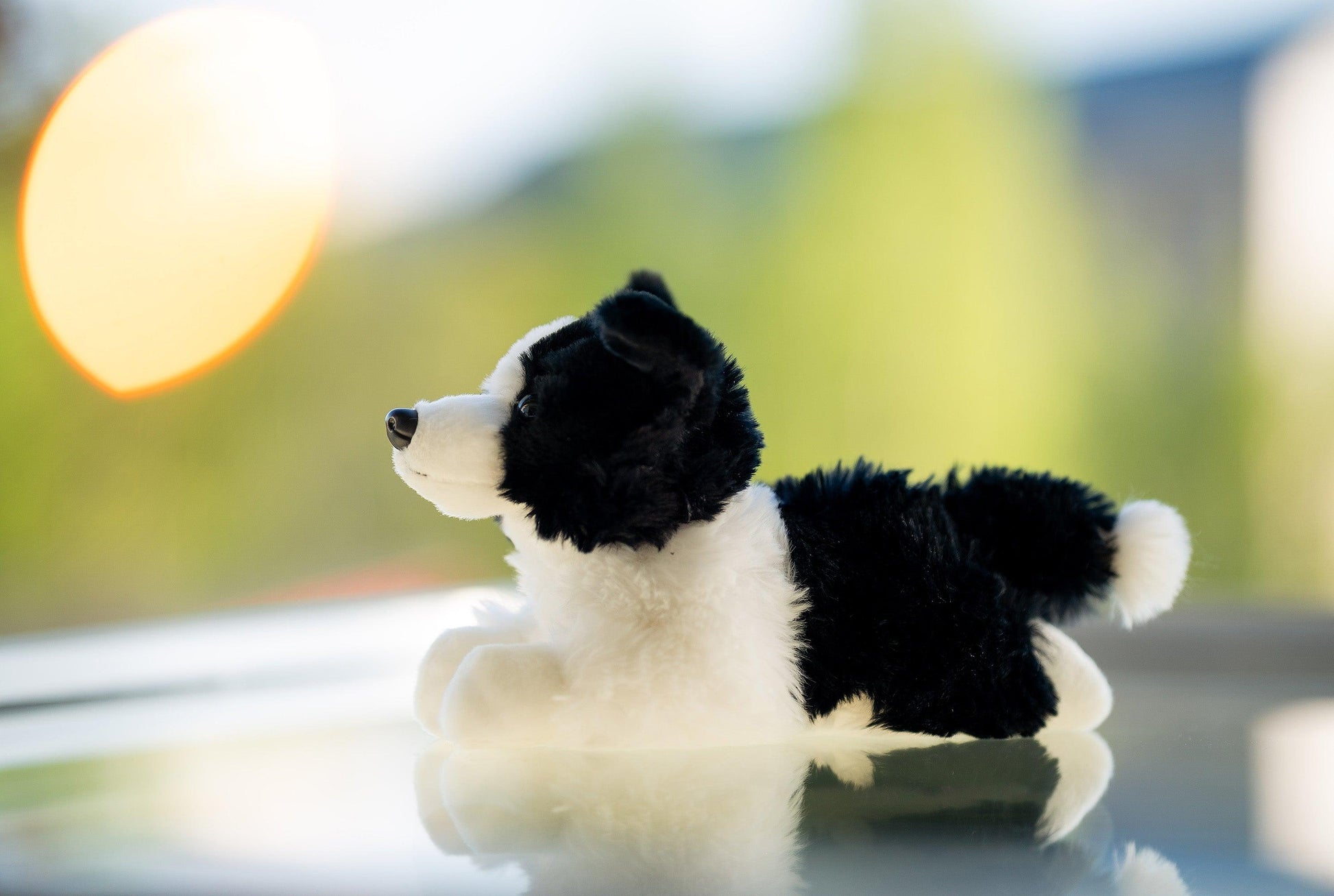 Hund Bamse Lasse Border Collie | Hilda - Bamsedyra AS