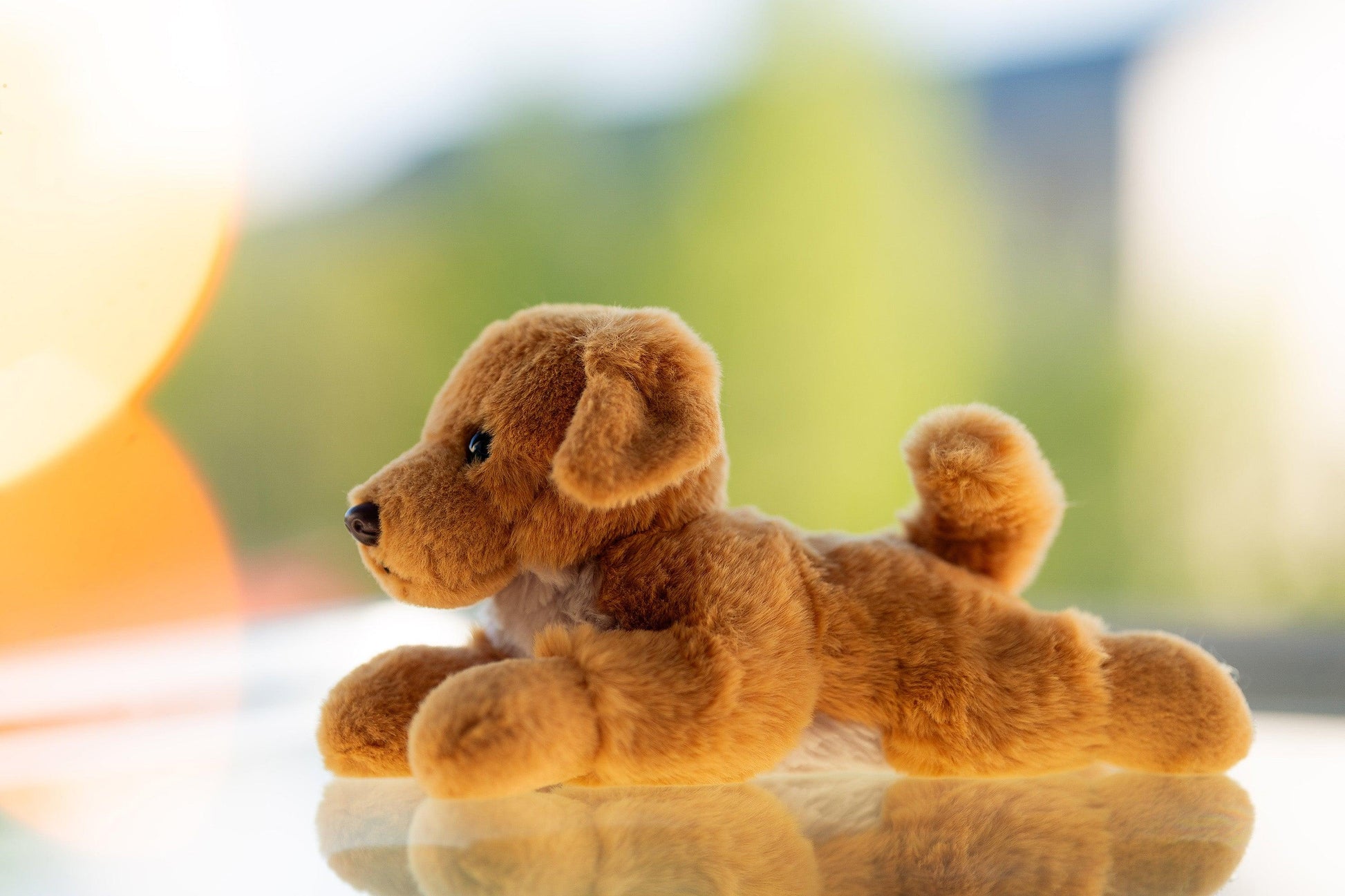 Hund Bamse Buster Golden Retriever | Hilda - Bamsedyra AS