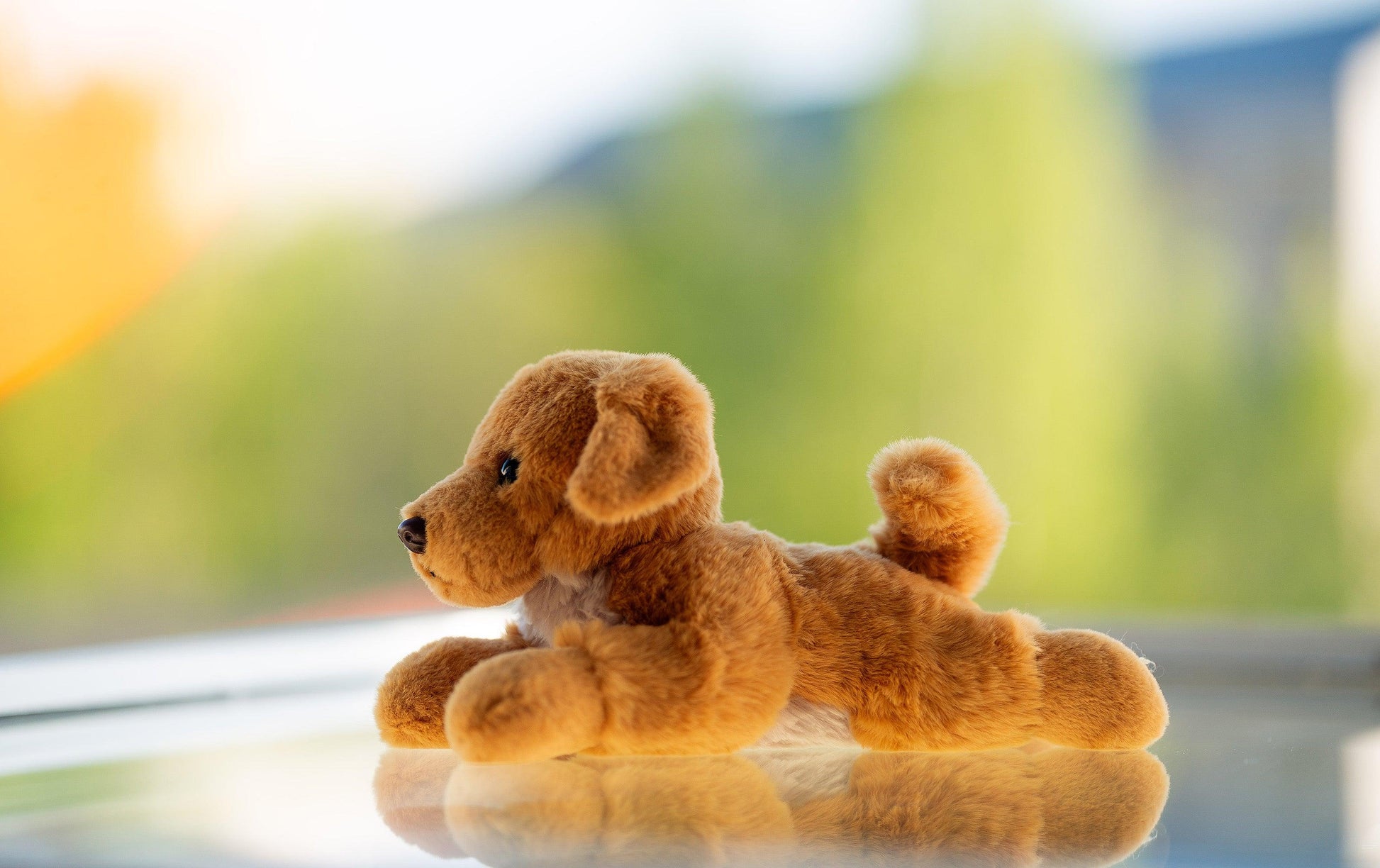 Hund Bamse Buster Golden Retriever | Hilda - Bamsedyra AS
