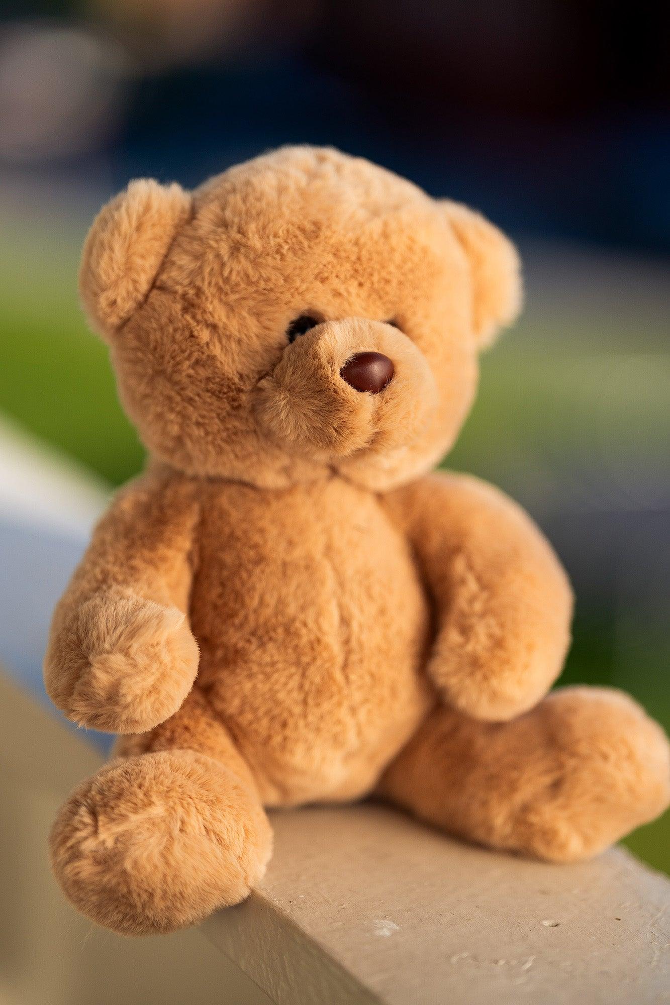 Bamse Rugge Teddy | Hilda - Bamsedyra AS