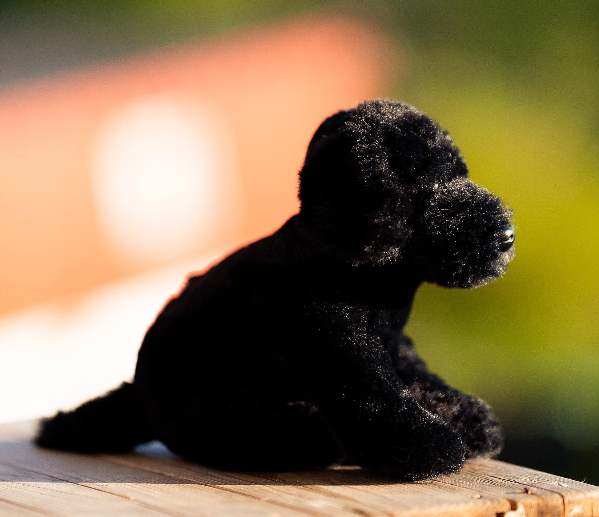 Hund Bamse Pepper Sort Labrador | Hilda - Bamsedyra AS