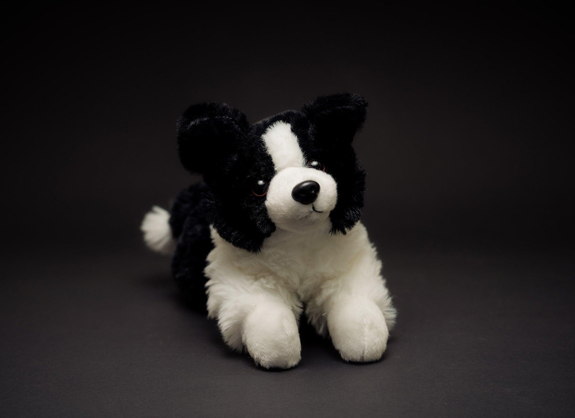 Hund Bamse Lasse Border Collie | Hilda - Bamsedyra AS