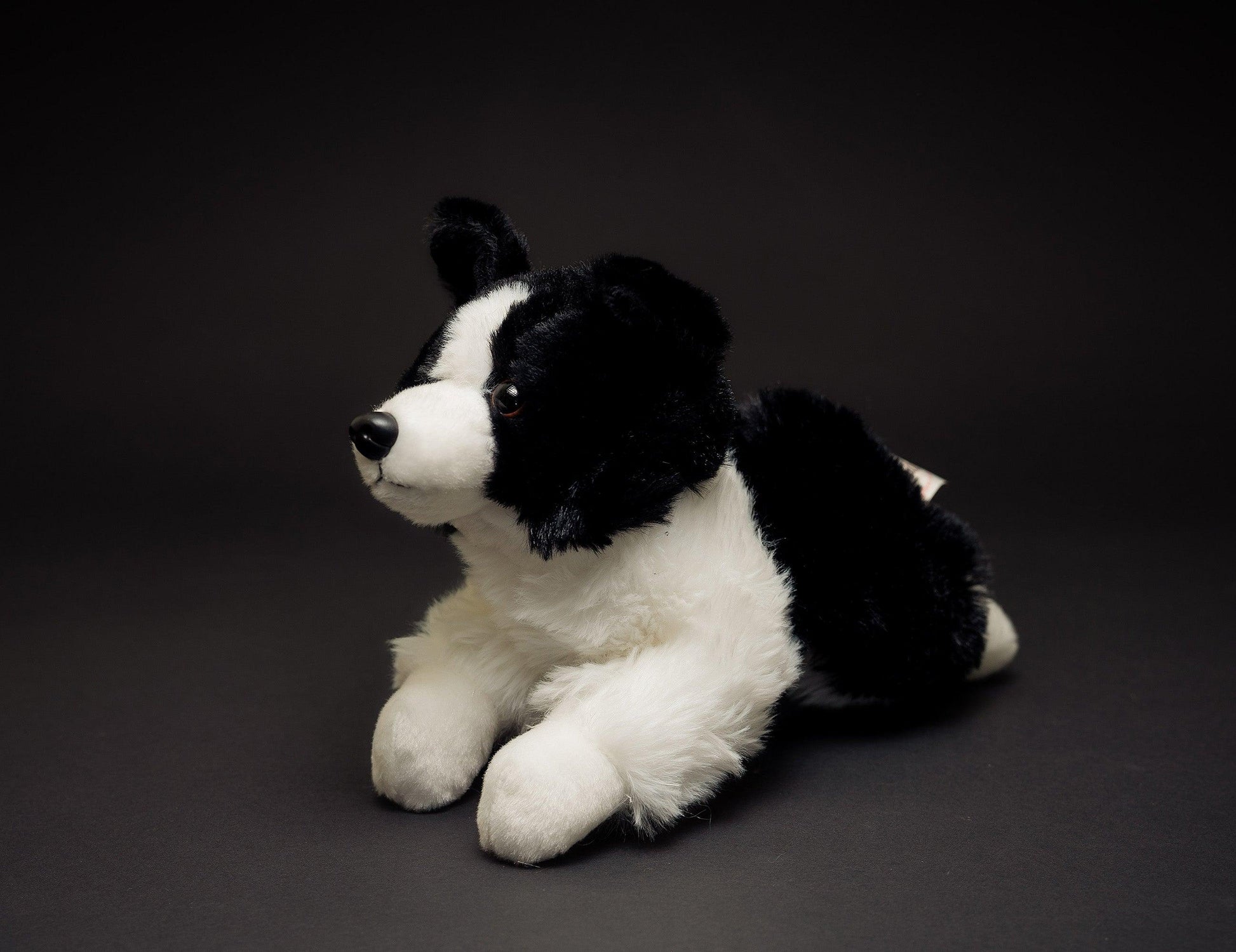 Hund Bamse Lasse Border Collie | Hilda - Bamsedyra AS