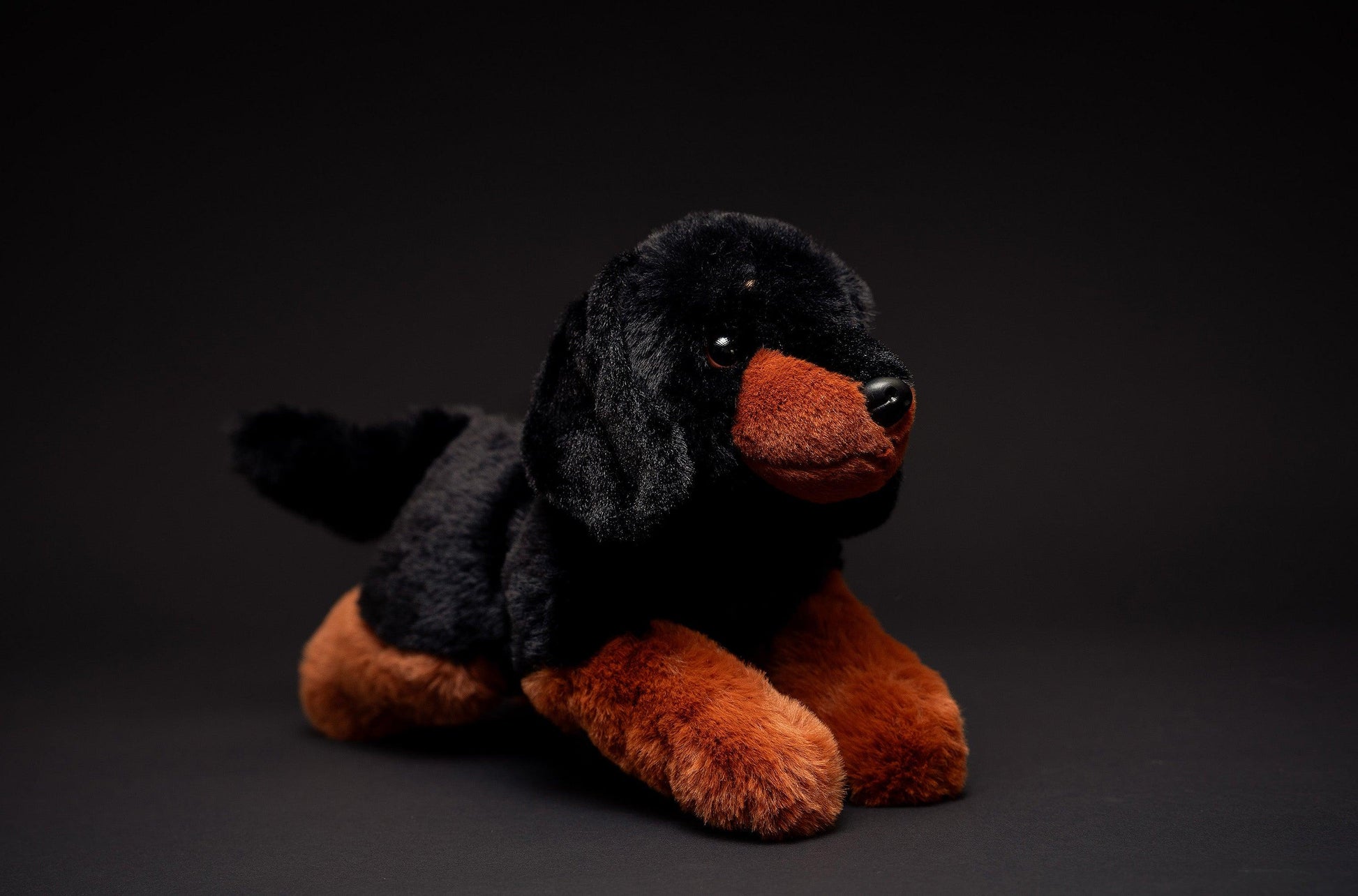 Hund Bamse Labben Dachs | Hilda - Bamsedyra AS
