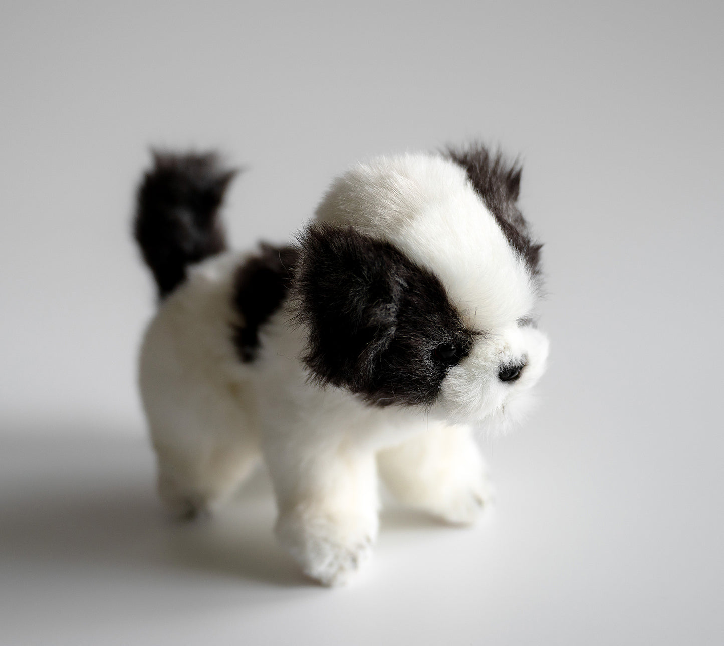 Teacup Shih Tzu Hundebamse | Hansa Creation