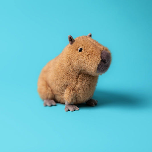 Clyde Capybara | Jellycat