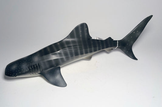 CollectA Whale Shark Figure (Extra Large) - Lifelike and Majestic Marine Creature Replica - Bamsedyra