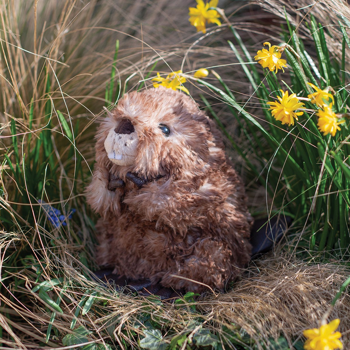 Bever kosedyr 21 cm – “Chester” (Medium) | Wrendale Designs