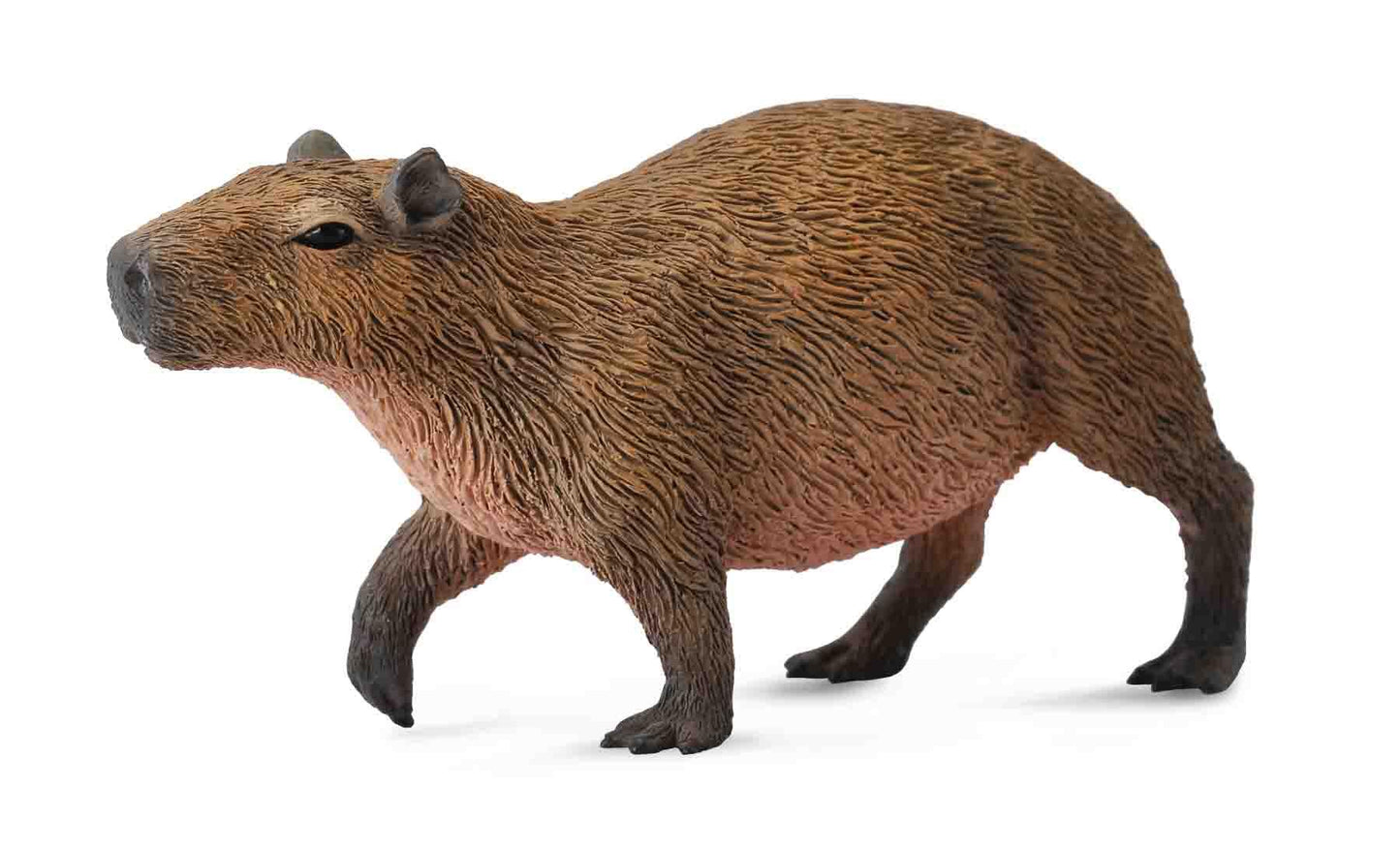 Flodsvin (Capybara) 7,5 cm Realistisk dyrefigur | CollectA