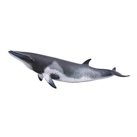 CollectA Vågehval Figur – sidevisning av naturtro vågehval