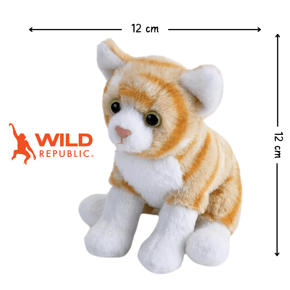 Pocketkins Eco Cat Plush 12cm | Wild Republic - Bamsedyra AS