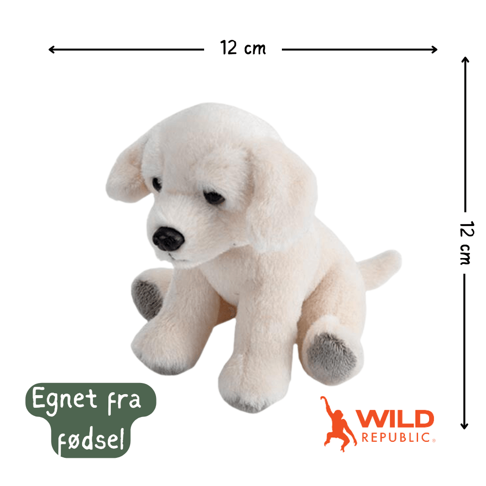 Pocketkins Eco Dog Plush | Wild Republic - Bamsedyra AS
