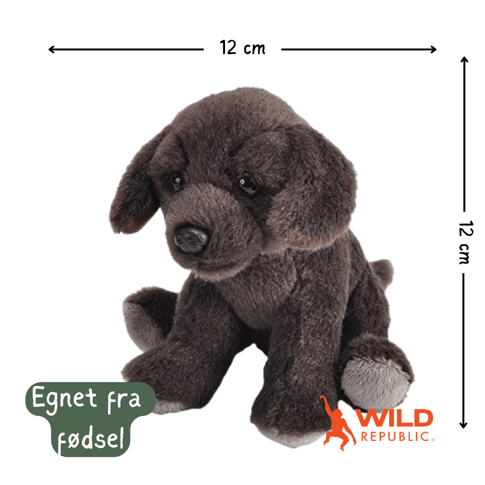 Pocketkins Eco Dog Plush | Wild Republic - Bamsedyra AS