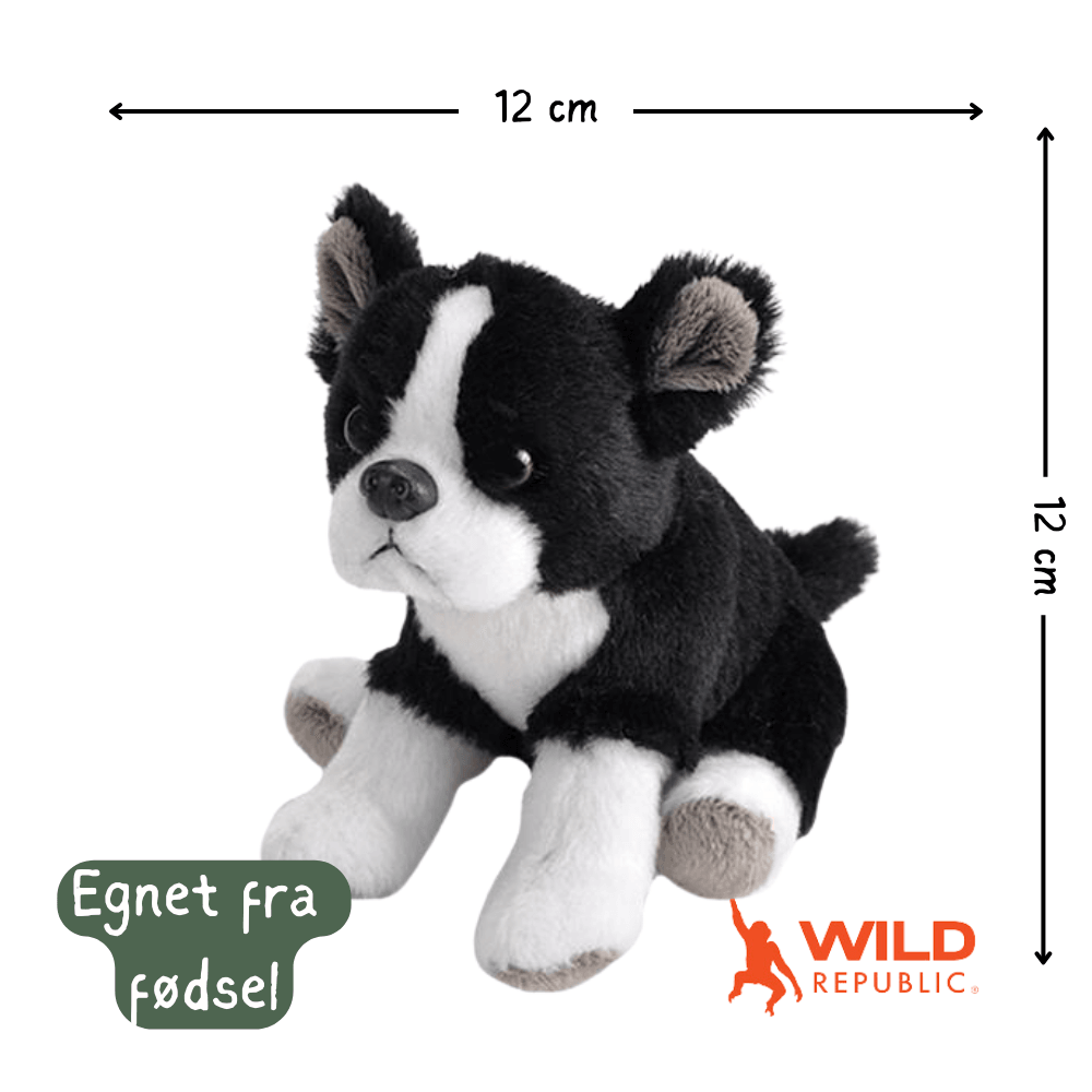 Pocketkins Eco Dog Plush | Wild Republic - Bamsedyra AS