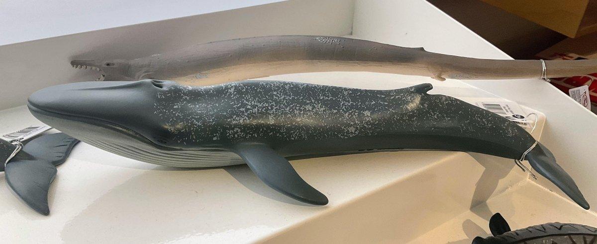 CollectA Blue Whale - Bamsedyra AS