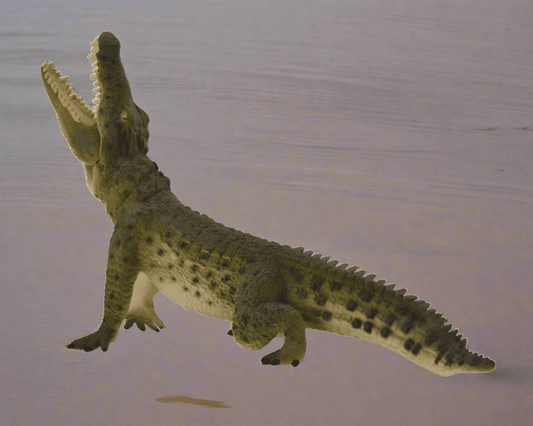 CollectA Crocodile Figure - Bamsedyra AS