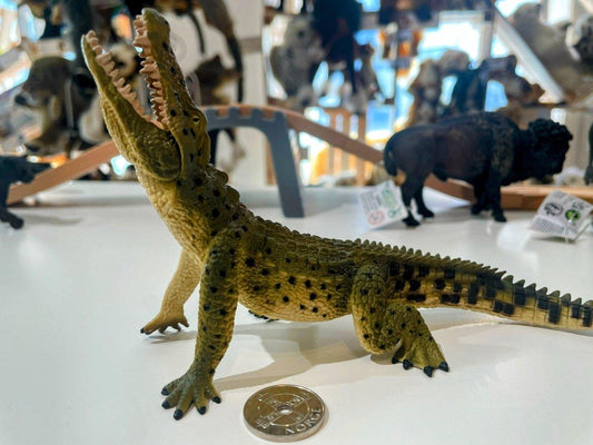 CollectA Crocodile Figure - Bamsedyra AS