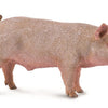 CollectA Male Pig Figure - Bamsedyra AS