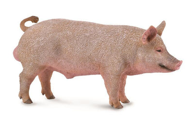 CollectA Male Pig Figure - Bamsedyra AS