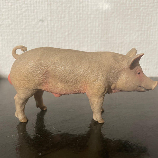 CollectA Male Pig Figure - Bamsedyra AS