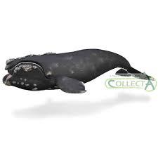 CollectA Retthval Figur – sidevisning av naturtro retthval