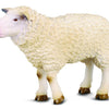 CollectA Sheep - Bamsedyra AS