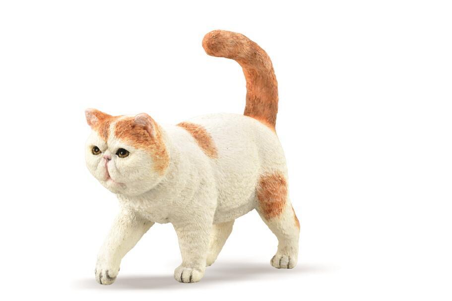 CollectA Shorthaired Cat - Bamsedyra AS