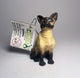 CollectA Siamese Cat - Bamsedyra AS